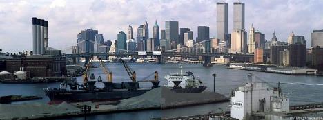 Wolfgang Staehle Art