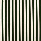 Wolfgang Staehle Art